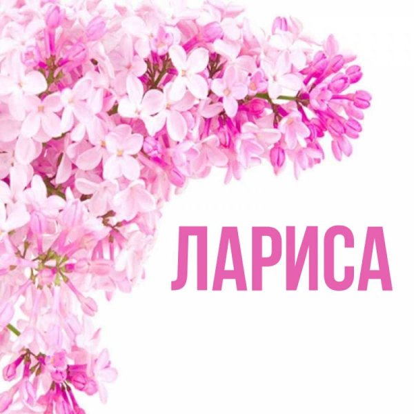 Цветы для Ларисы