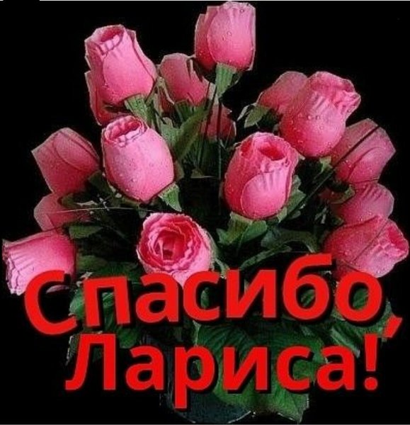 Надпись из цветов