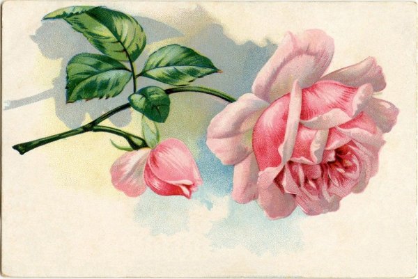 Decoupage/"Анютины глазки".
