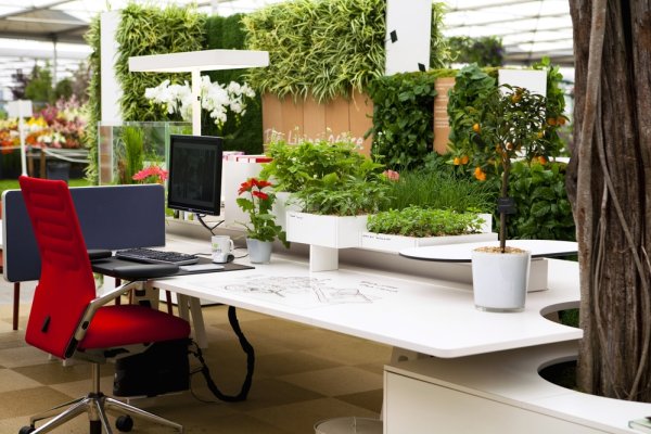 Greenery Озеленение интерьера