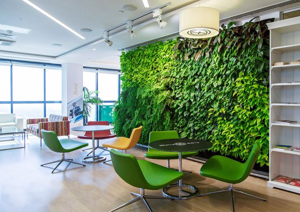 Green Sky фитостены