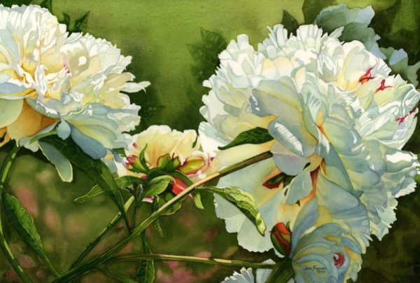 Marney Ward канадская художница