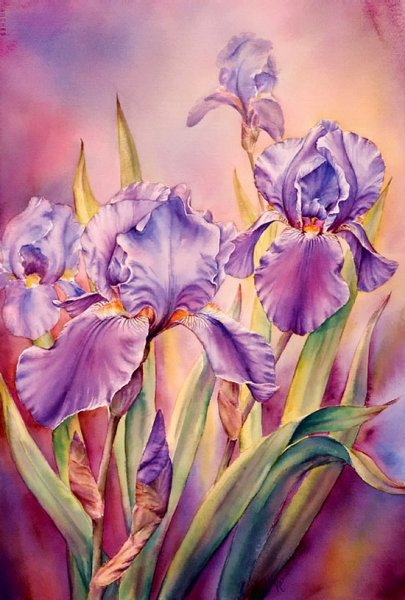 Marianne Broome картины ирисы