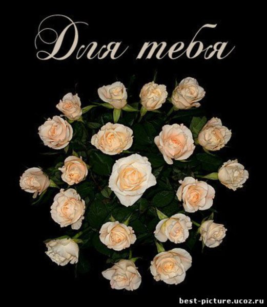Цветы для Олеси