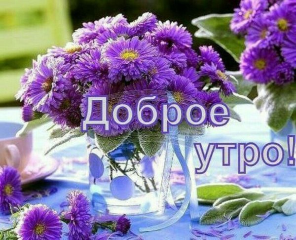 Доброеиутро с хризантемами