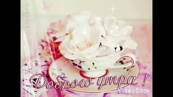Открытки с добрым утром с пионами