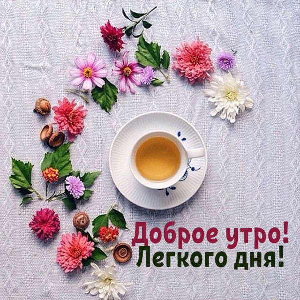 Розы в чашке