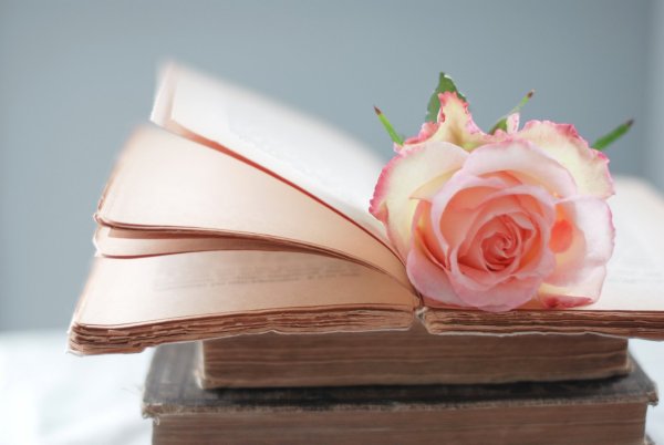 Книга про цвет