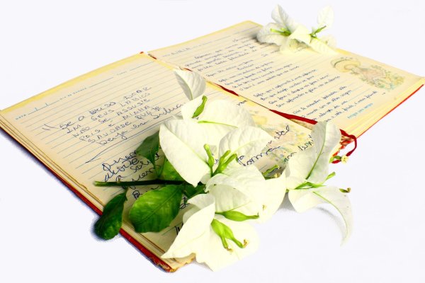 Стихи книга
