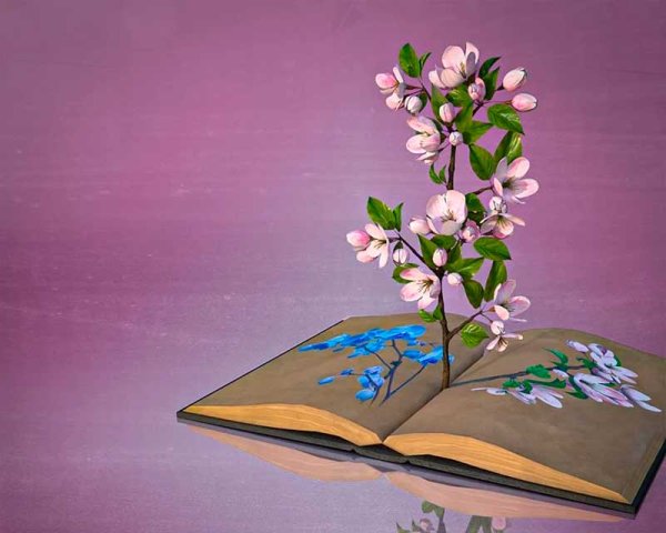 Открытки с книгой и цветами