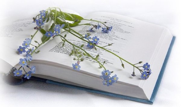 Открытка книга