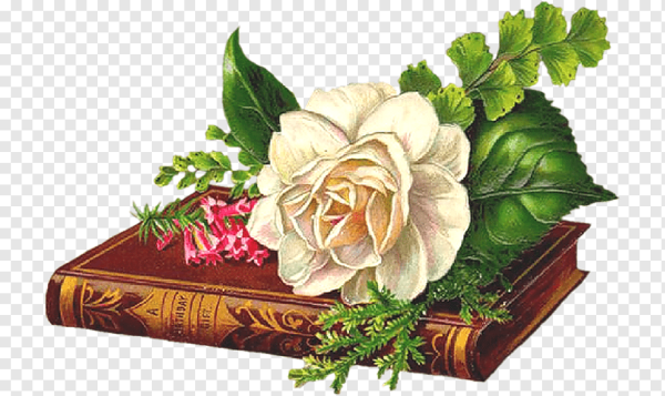 Букет для писателя