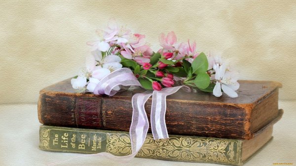 Книга с цветами