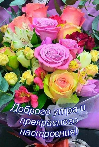 Анютины глазки и ромашки