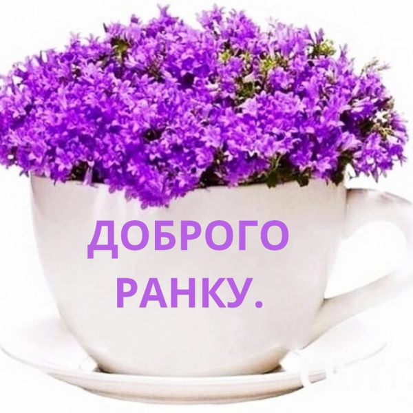 Картинки с добрым утром красивые