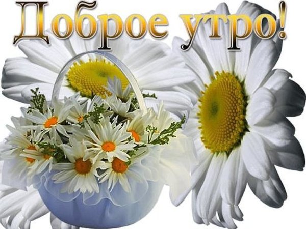 Хорошего дня и отличного настроения с орхидеями
