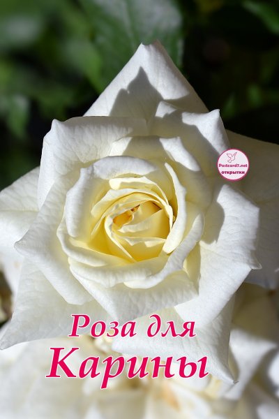 Карина открытки