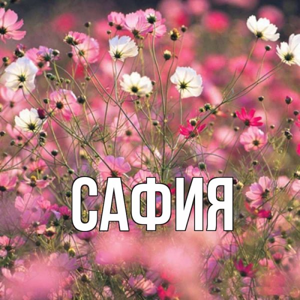 Поздравить с днём рождения женщину