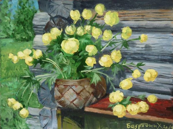 Купальница китайская