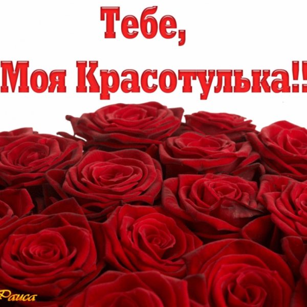 Моя красотка