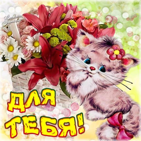 Красивые прикольные открытки
