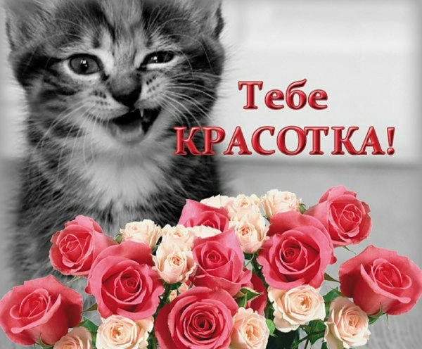 С днём рождения красоика