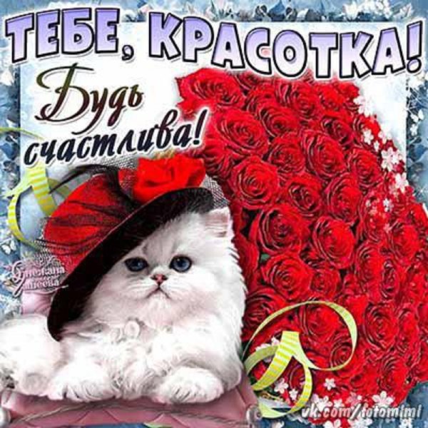 Красавица открытки