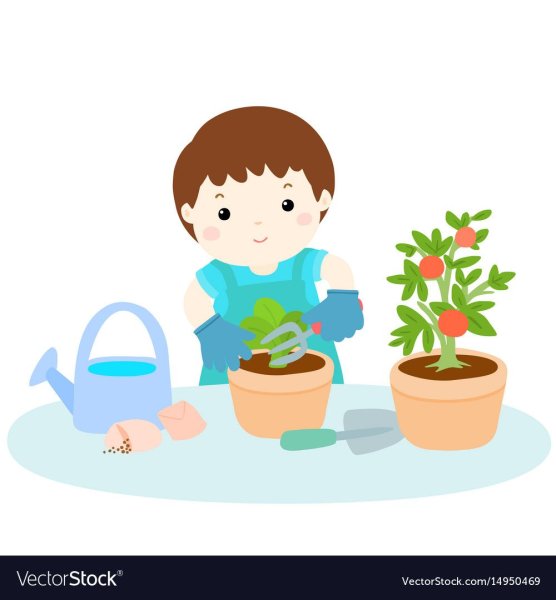 Картина дети сажают цветы