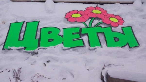 Цветы логотип вывеска