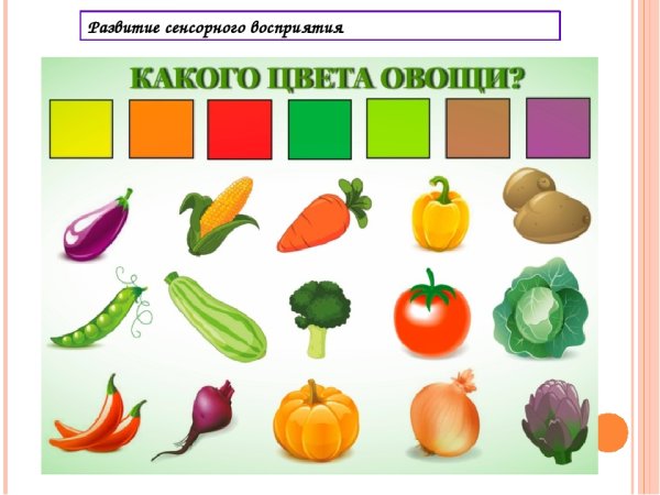 Овощи для детей дошкольного возраста