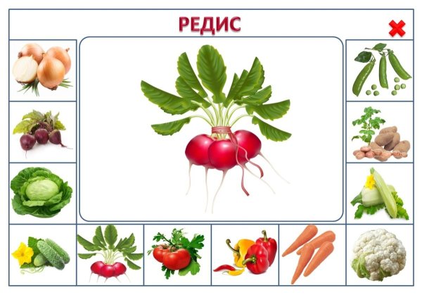 Развивающие карточки для детей овощи
