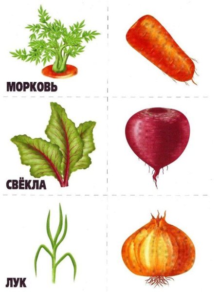 Игра вершки и корешки