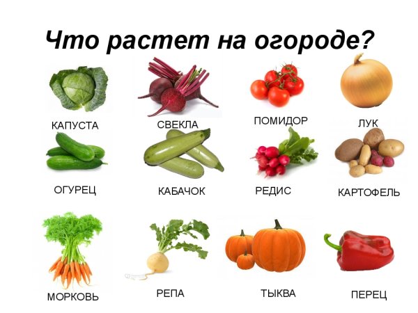Овощи с подписями