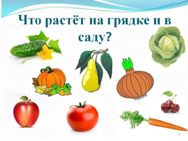 Игра что растет на грядке