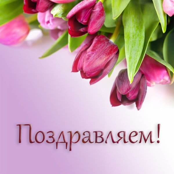Яркие цветы