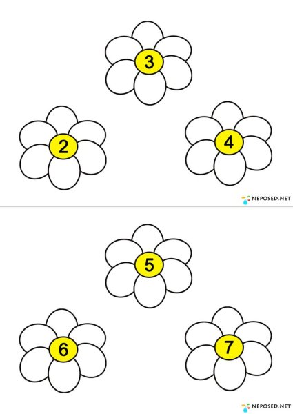 Цветочки для математики