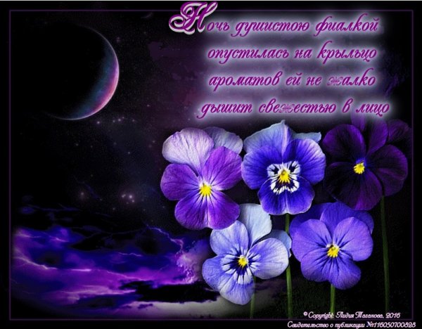 Природа ночью