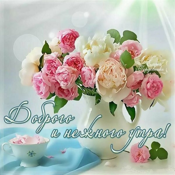 Нежные открытки с добрым утром