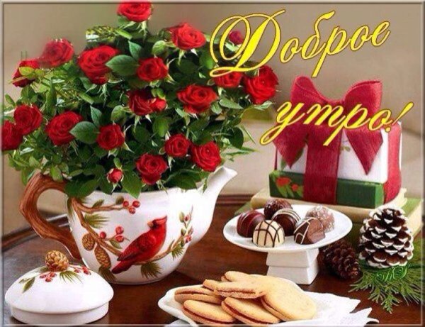 Открытки с добрым утром с цветами красивые
