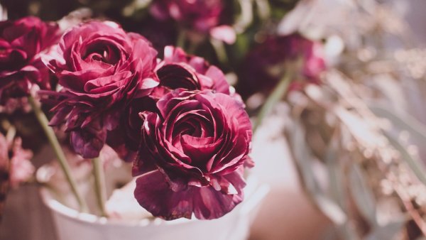 Пионы марсала