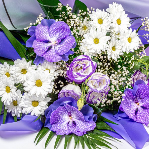 Шикарные цветы