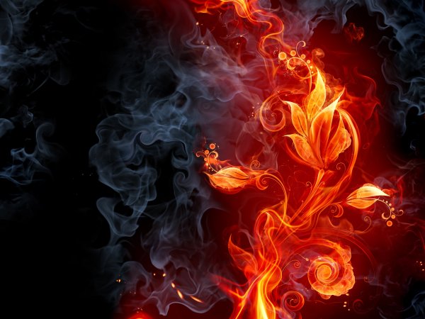 Фантастические цветы
