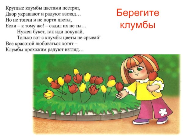 Стихотворение о цветах на клумбе