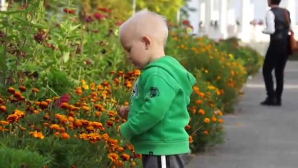 Дети собирают цветы в лесу