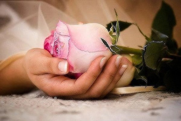 Цветы в руках нежность