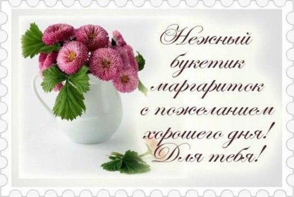 С днём рождения Маргаритка