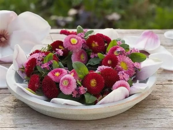Маргаритки шикарные букеты