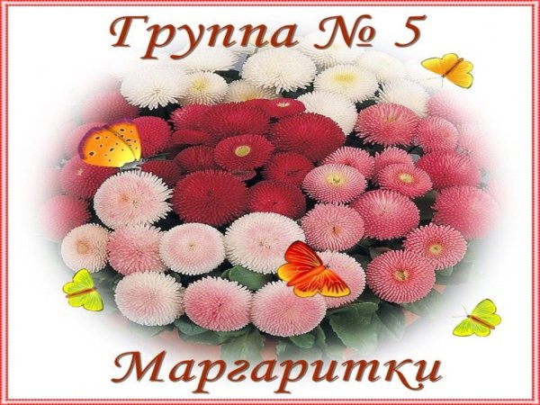 Группа маргаритки в детском саду