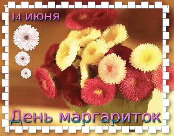 14 Июня день маргариток открытки