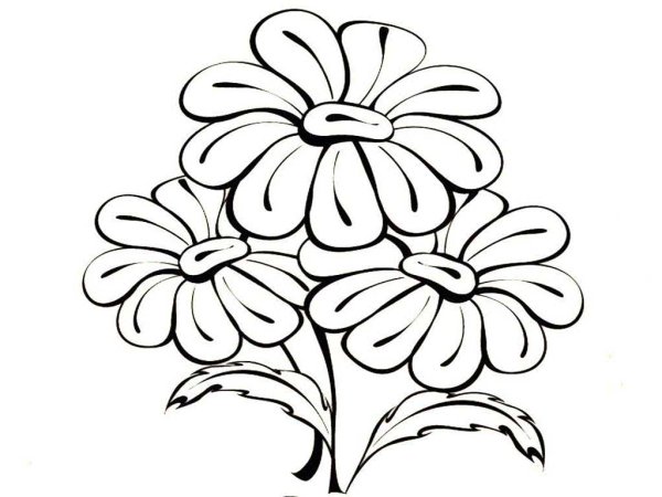 Цветы. Раскраска